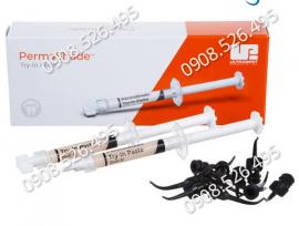 Vật liệu thử màu sứ PermaShade Try-In Paste