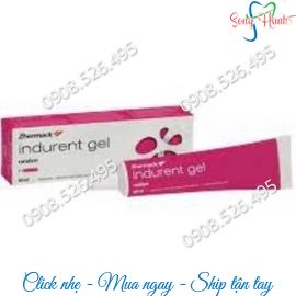 Chất xúc tác Indurent Gel