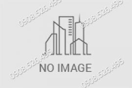 Sò đánh bóng răng ALPHA-PRO